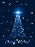 stary xmas night