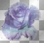 b.ljb.ljb