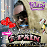 Gansta T-Pain: Tallahassee Hero