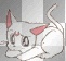 moon cat Artemis