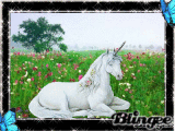licorne;;;;;;;;;;;;;;;;