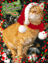 *SNIFF* *SNIFF* U SMELL DAT?IS CHRISTMAS