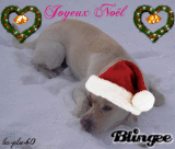 Joyeux Noêl 