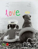 Dog and Girl angel