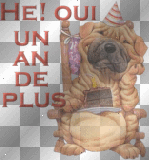 Et oui, un an de plus en chien plissé!