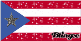 Puerto Rican Flag