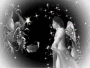 fairy