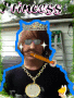 dope head barbi boy