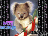 HOLIDAY KOALA