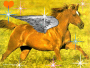 Cheval ailé