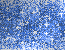 sea blue