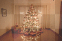 christmas tree background