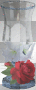 animated white candle red rose