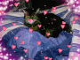 Cat lover's