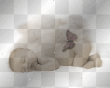 baby butterfly
