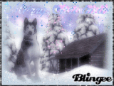 winter wolf