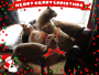 xmas