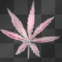 pink weed