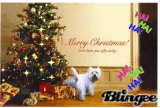 christmas pup christmas pup