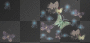 Buterflies in the dark