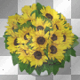 bouquet bouquet