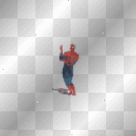 spider