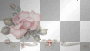 Rosa Rosa