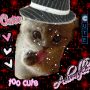 cutie cat 