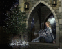 Animated Picture