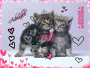 Princess Kitty Friends Princess Kitty Friends