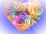 heart of video!