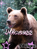 Ours nommé Princess