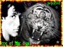 eye of the tiger