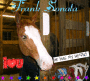 horselover3211 horselover3211