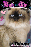 ceasarcat