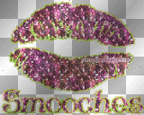 smooches