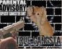 GANGSTA KITTY GANGSTA KITTY