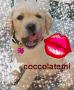 coccolami
