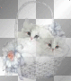 cats in basket