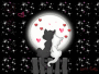 Love Cat Love Cat