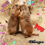 groundhogs in love