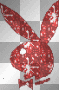 PLAYBOY
