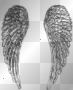 wings