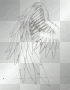 wing