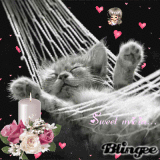 sweet micia