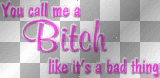 Bitch