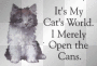 cats world