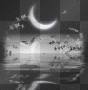 night scene
