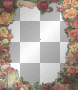 ROSE FRAME ROSE FRAME