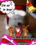 merry christmas wang!!!